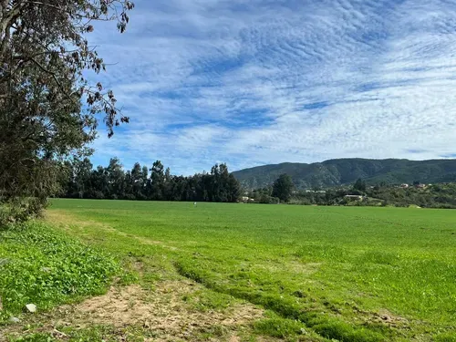 Terreno 20,3 Há Plano en Olmué, Apto Loteo 40 Parcelas de 5.000 m²